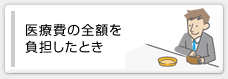 医療費の全額を負担したとき